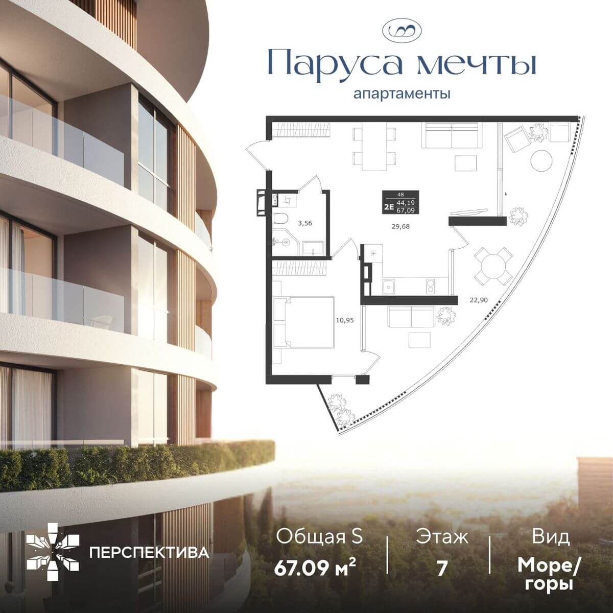 Паруса Мечты